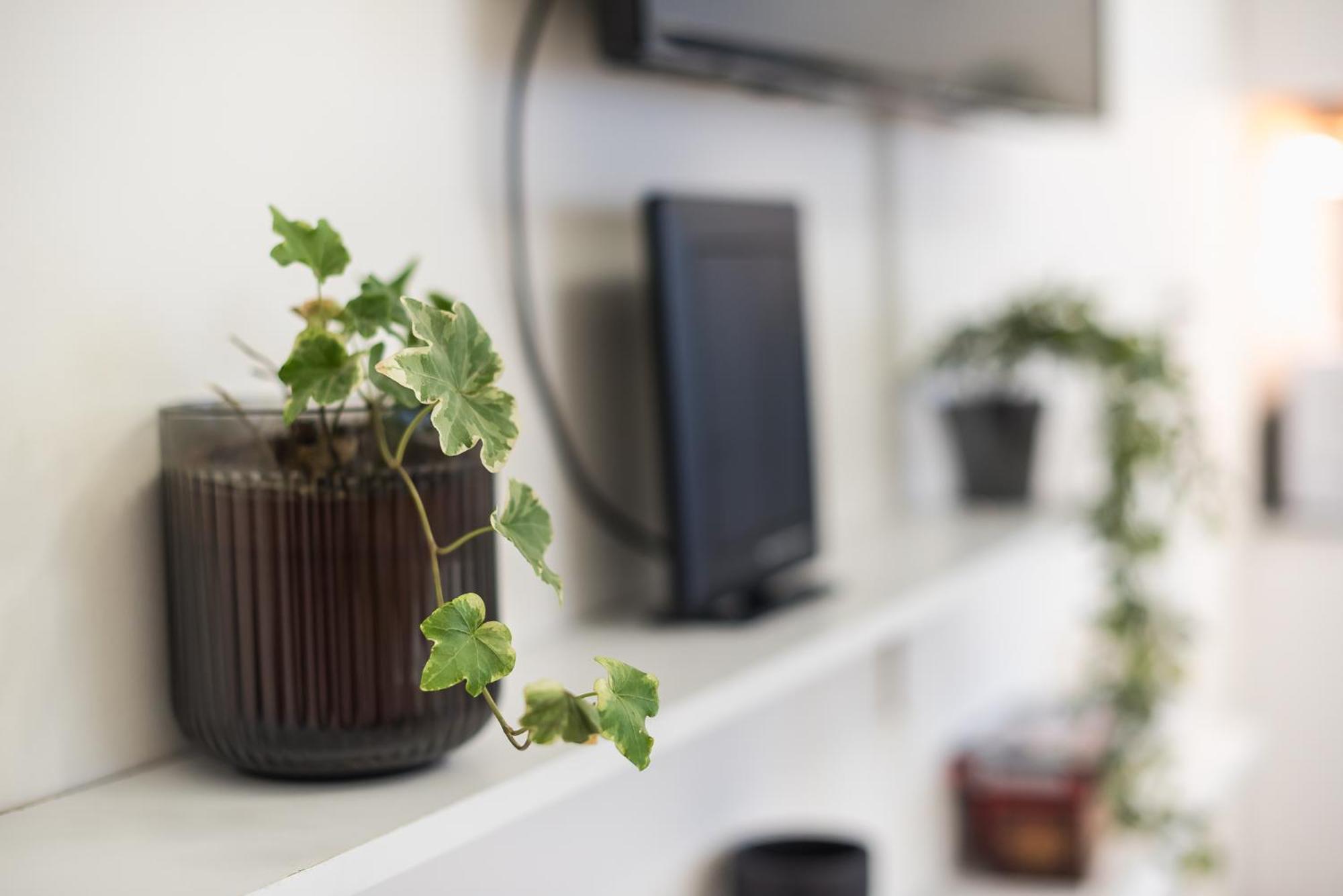 Modern Apartment 200M From Acropolis 100Mbps Netflix Athen Eksteriør billede